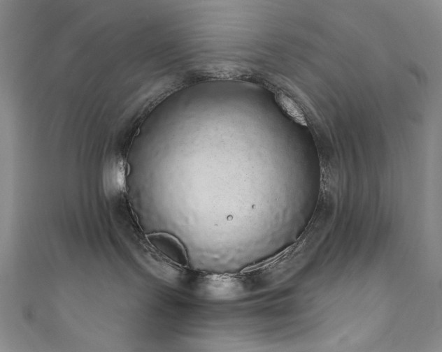 X0000111830095200907231326