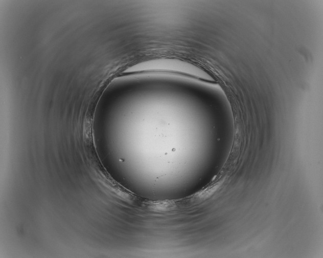 X0000111830096200907231326