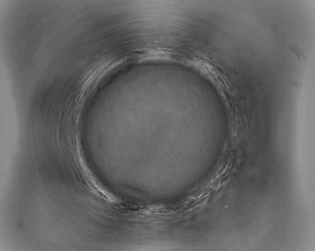 X0000111830097200907231325