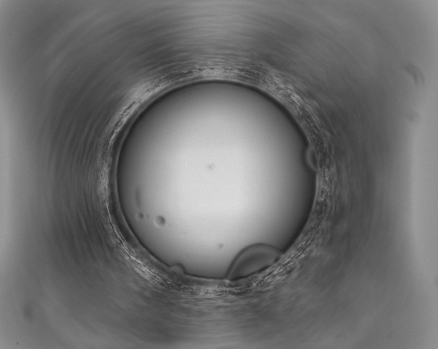 X0000111830098200907231325