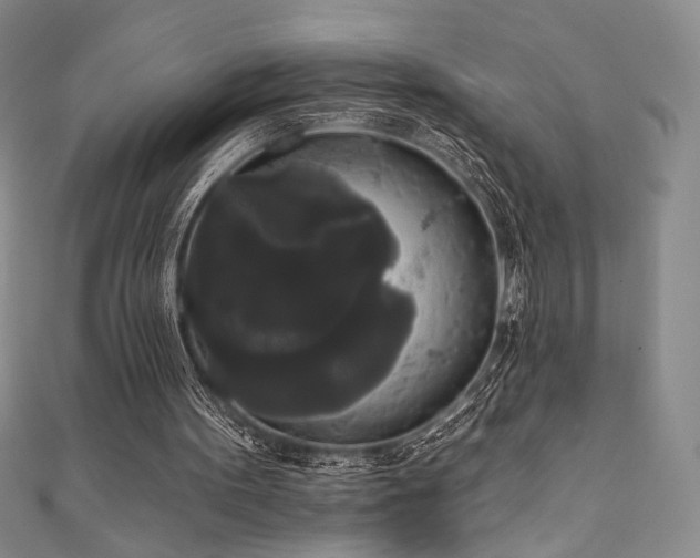 X0000111830099200907231325