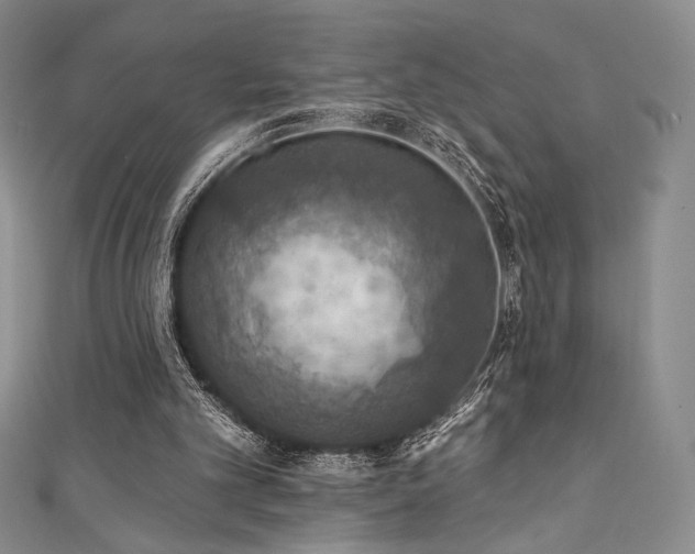 X0000111830101200907231325