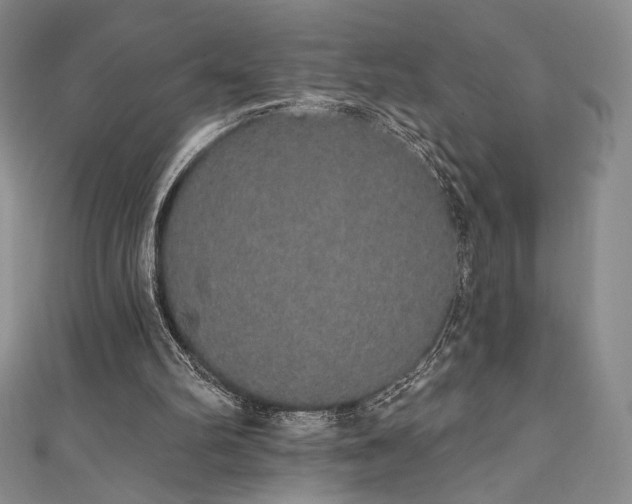 X0000111830102200907231325