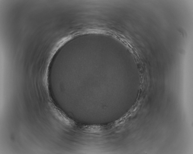 X0000111830104200907231325