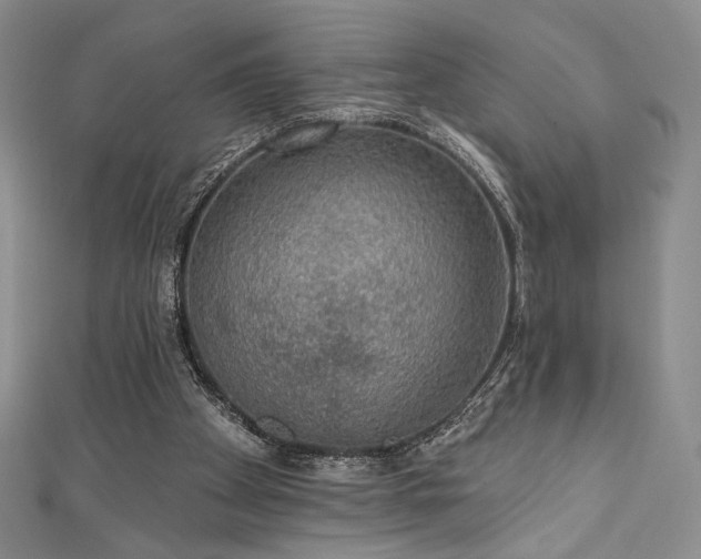 X0000111830105200907231325