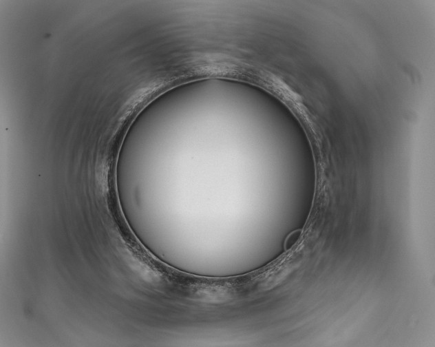X0000111830106200907231325