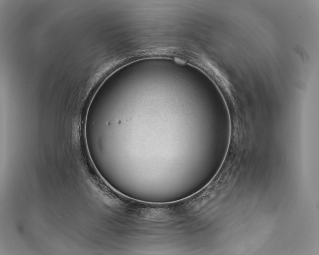 X0000111830107200907231325