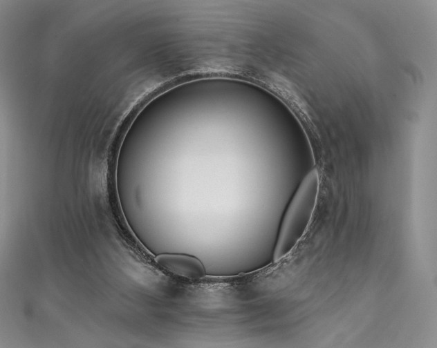 X0000111830108200907231325