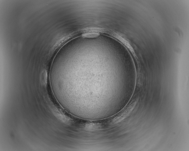 X0000111830109200907231325