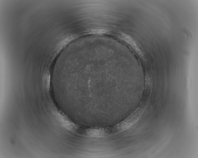 X0000111830110200907231325