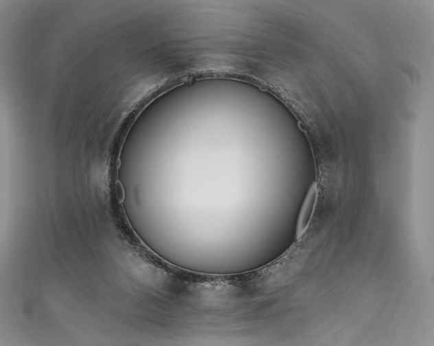 X0000111830112200907231325
