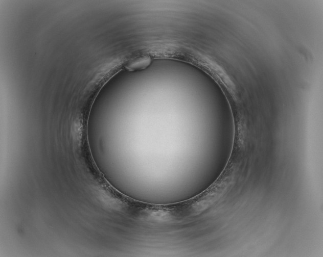 X0000111830113200907231325