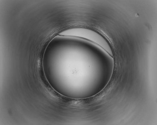 X0000111830117200907231325