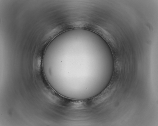 X0000111830118200907231325