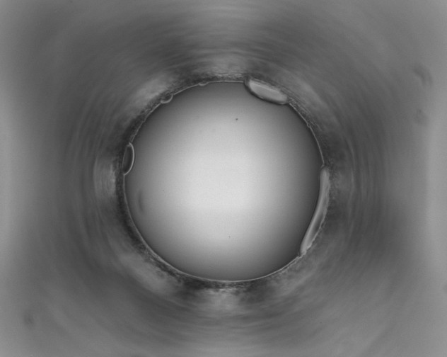 X0000111830120200907231325