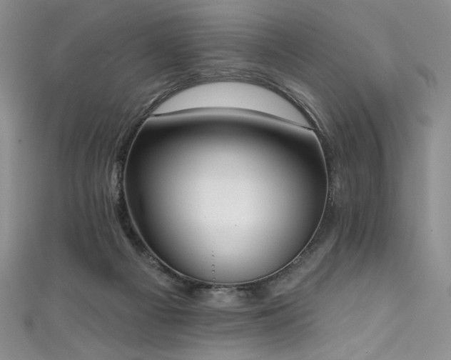 X0000111830121200907231325