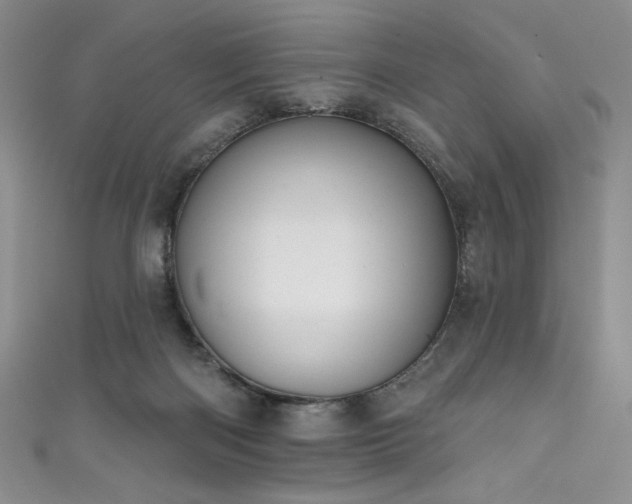 X0000111830122200907231325