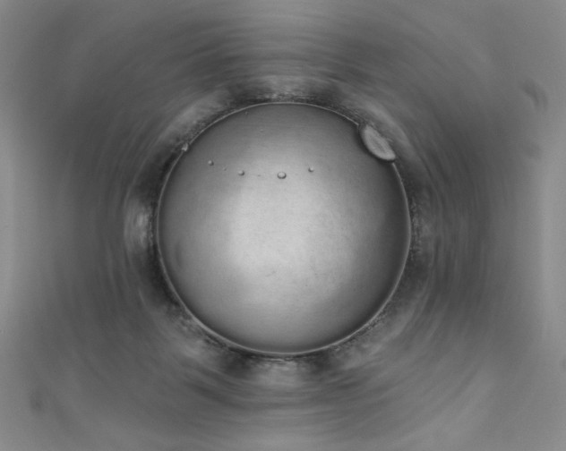 X0000111830123200907231325