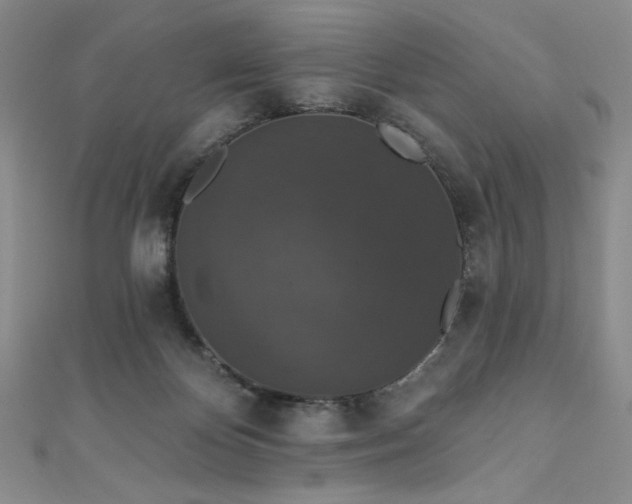 X0000111830124200907231325