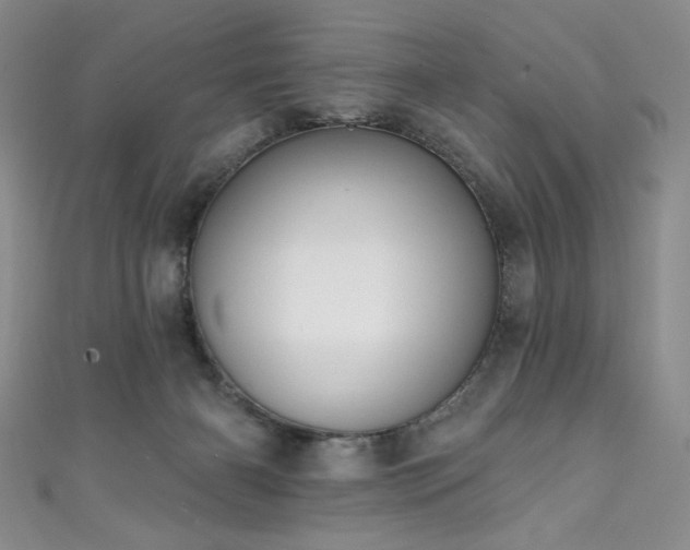 X0000111830126200907231325