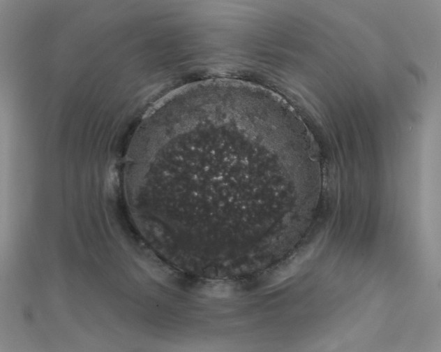 X0000111830127200907231325