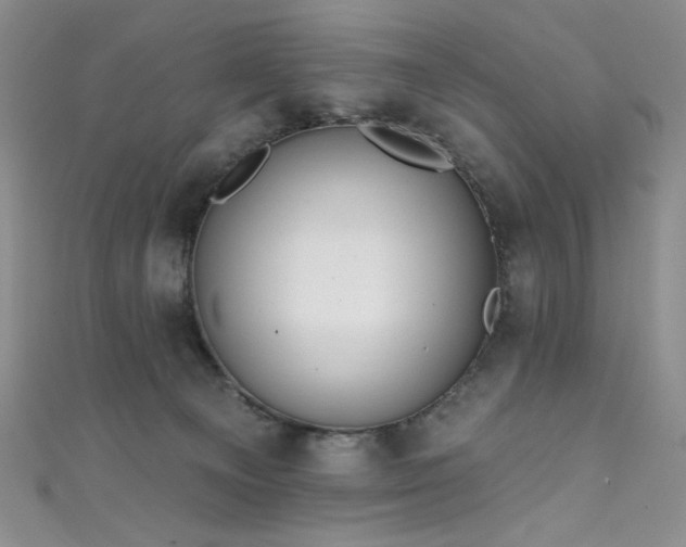X0000111830129200907231325