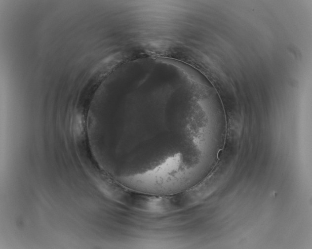 X0000111830130200907231325
