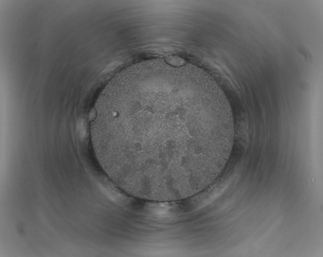 X0000111830131200907231325