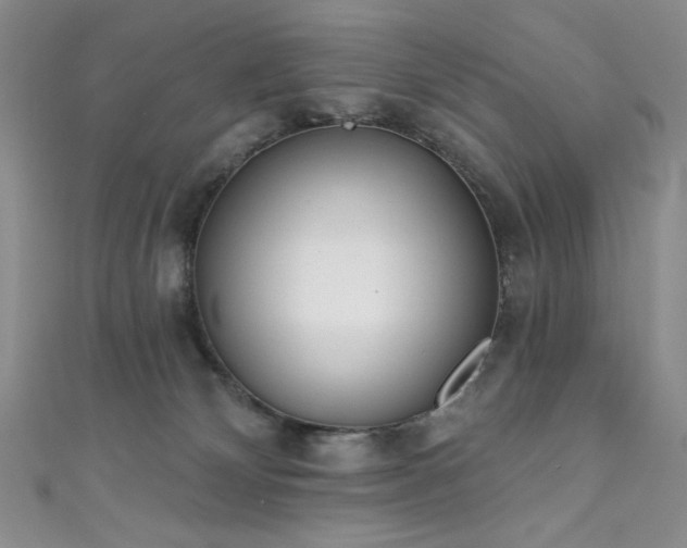 X0000111830132200907231325