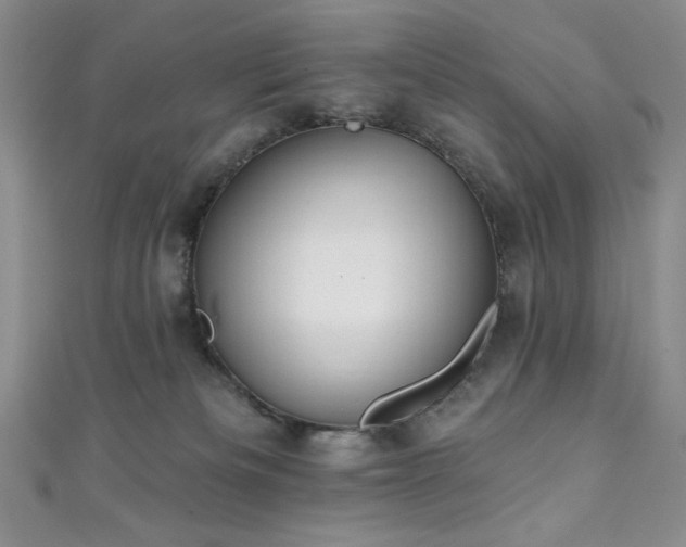 X0000111830133200907231325