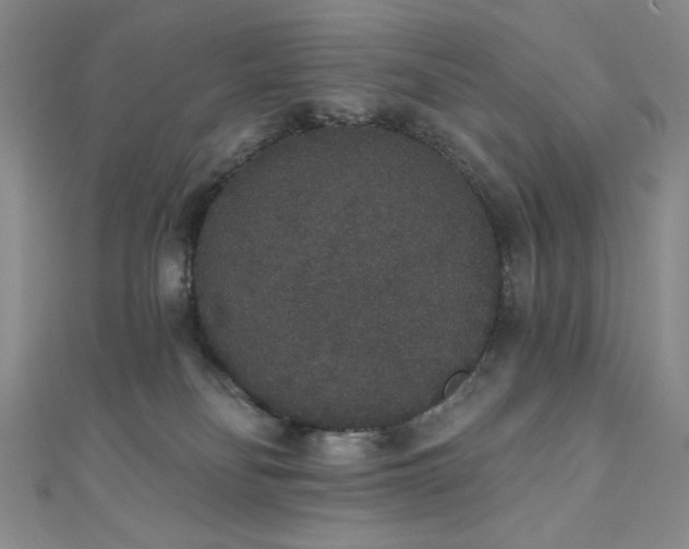 X0000111830134200907231325