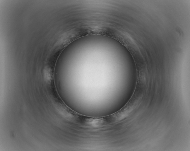 X0000111830135200907231325