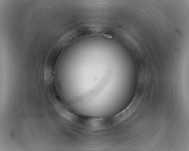 X0000111830136200907231325