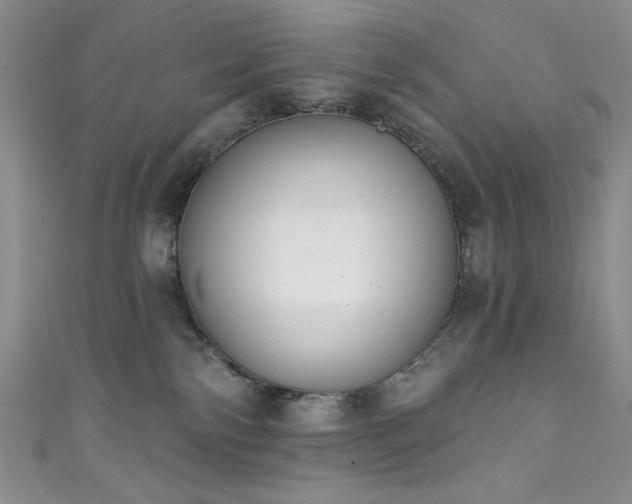 X0000111830138200907231324