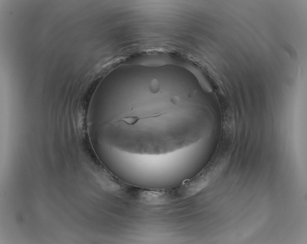 X0000111830139200907231324