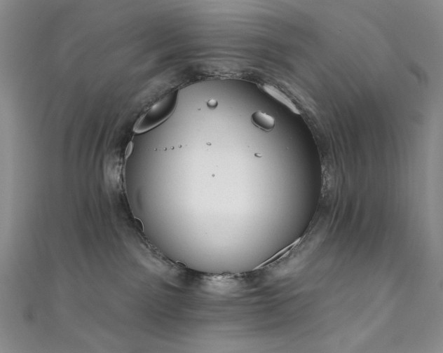 X0000111830141200907231324