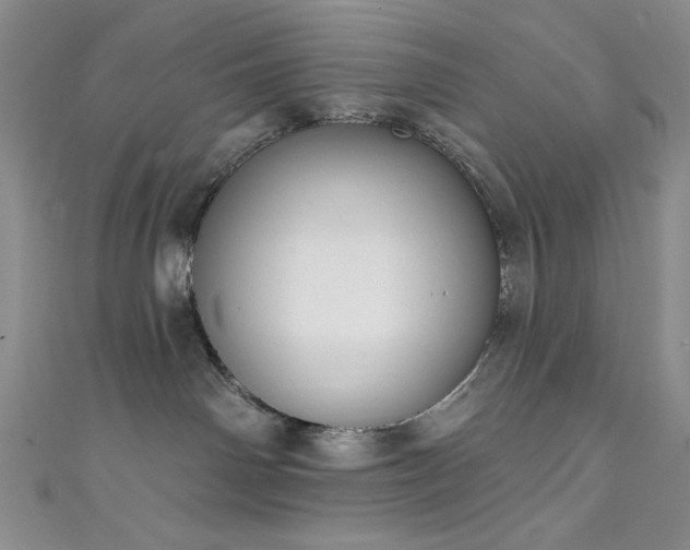 X0000111830142200907231324