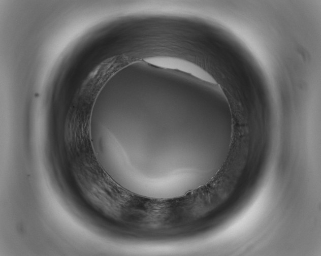 X0000111830143200907231324