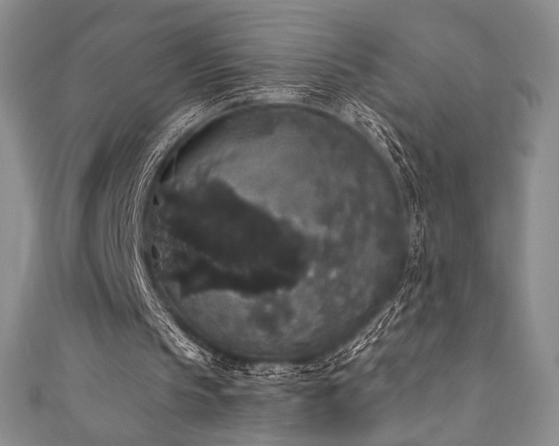 X0000111830145200907231324