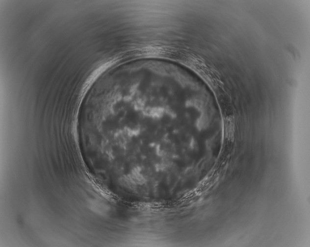 X0000111830147200907231324