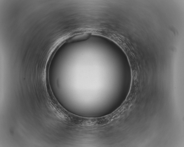X0000111830148200907231324