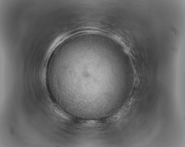 X0000111830151200907231324