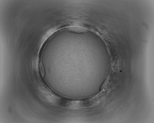 X0000111830152200907231324