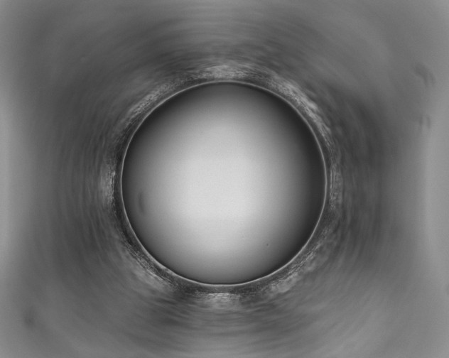 X0000111830153200907231324