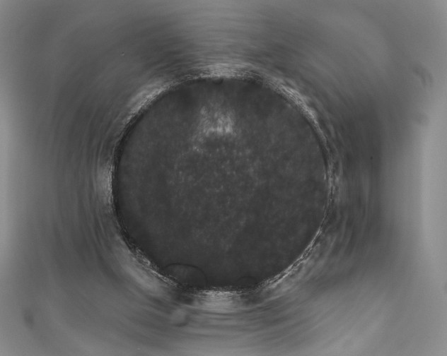 X0000111830154200907231324