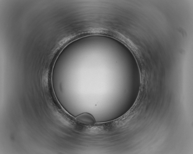 X0000111830155200907231324