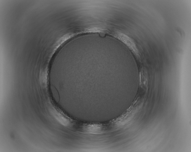 X0000111830156200907231324