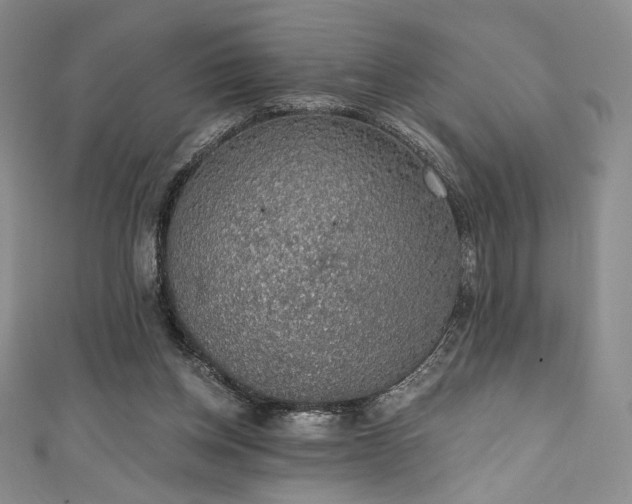 X0000111830158200907231324