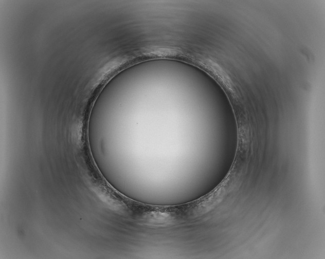 X0000111830159200907231324