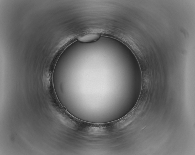 X0000111830160200907231324